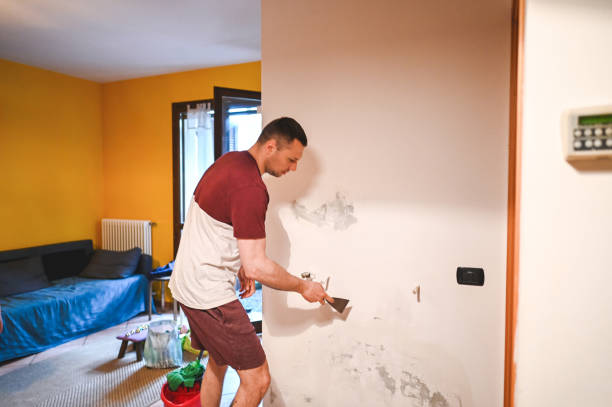 Best Water Damage Restoration  in Dove Valley, CO